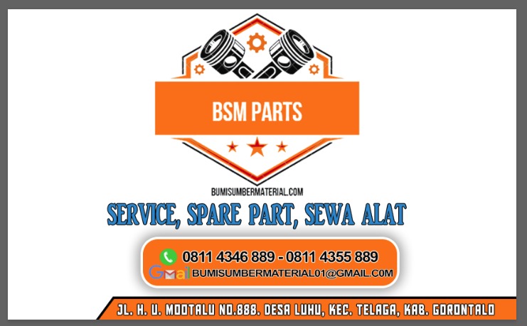 Logo BSM PARTS JPG