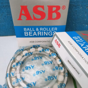 Spherical Roller Bearing ASB (55x100x25) PN 22211CAKW33