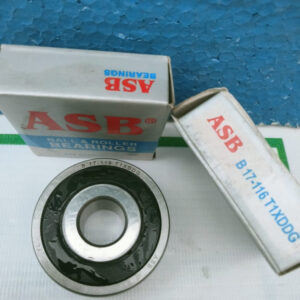 Bearing Dinamo Altenator ASB PN B17-116